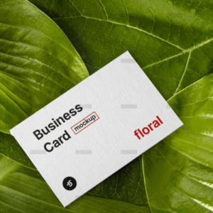 demo-attachment-1758-428kzq1d